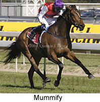 Mummify (17264 bytes)