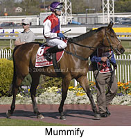 Mummify (17756 bytes)