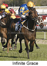Infinite Grace (15267 bytes)