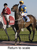 Return to scale (14366 bytes)