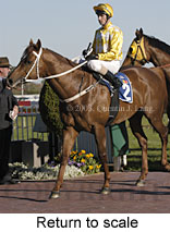 Return to scale (14495 bytes)