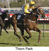 Thorn Park (17179 bytes)
