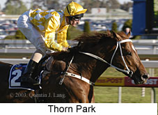 Thorn Park (16180 bytes)