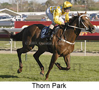 Thorn Park (15547 bytes)