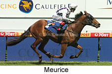 Meurice (16564 bytes)