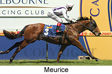 Meurice (16564 bytes)