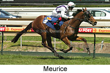 Meurice (16564 bytes)