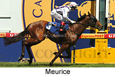 Meurice (16564 bytes)