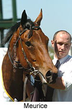 Meurice (16564 bytes)