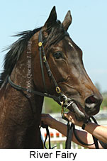 River Fairy (16564 bytes)