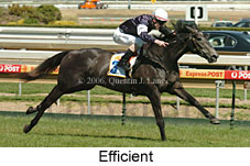 Efficient (16564 bytes)