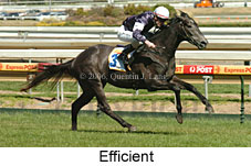 Efficient (16564 bytes)