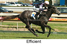 Efficient (16564 bytes)