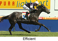 Efficient (16564 bytes)