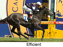 Efficient (16564 bytes)