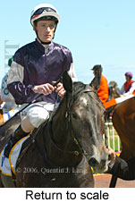 Return to scale (16103 bytes)