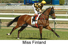 Miss Finland (16564 bytes)