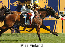 Miss Finland (16564 bytes)