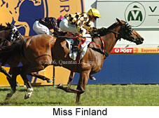 Miss Finland (16564 bytes)