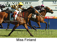 Miss Finland (16564 bytes)