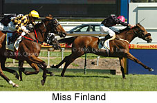 Miss Finland (16564 bytes)