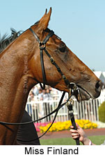 Miss Finland (16564 bytes)
