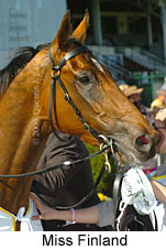Miss Finland (16564 bytes)