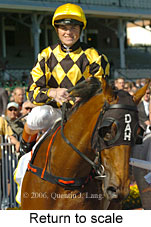 Return to scale (16103 bytes)