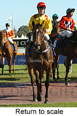 Return to scale (16103 bytes)