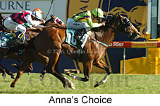 Anna's Choice (16564 bytes)