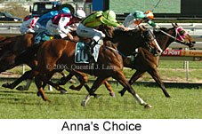 Anna's Choice (16564 bytes)
