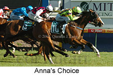 Anna's Choice (16564 bytes)