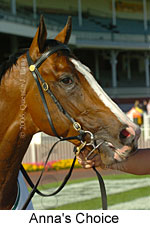 Anna's Choice (16564 bytes)
