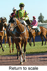 Return to scale (16103 bytes)