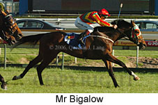 Mr Bigalow (16564 bytes)