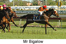 Mr Bigalow (16564 bytes)