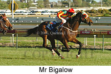 Mr Bigalow (16564 bytes)