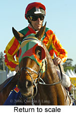 Return to scale (16103 bytes)