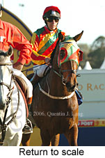 Return to scale (16103 bytes)