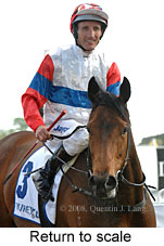 Return to scale (16492 bytes)