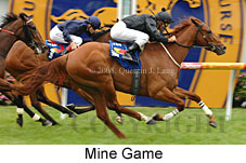 Mine Game (16193 bytes)