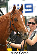 Mine Game (16193 bytes)