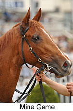 Mine Game (16193 bytes)