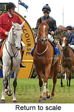 Return to scale (16492 bytes)