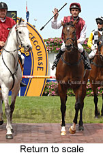 Return to scale (16492 bytes)