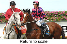 Return to scale (16492 bytes)