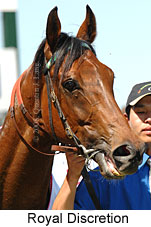 Royal Discretion (16193 bytes)