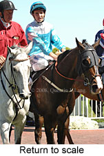 Return to scale (16492 bytes)