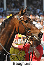 Baughurst (16193 bytes)