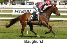 Baughurst (16193 bytes)